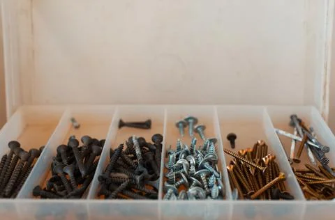Close-up of different self-tapping screws in plastic box. Stock Photos