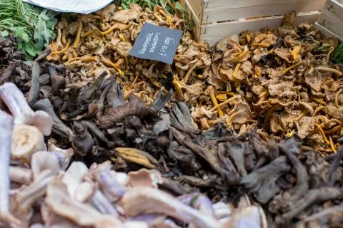 Close up of different types of mushrooms Stockfoto's