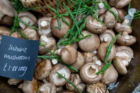 Close up of different types of mushrooms Stock Photos