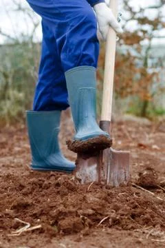 Close up of a digging Stock Photos