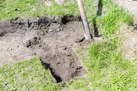Close-up digging soil, ground, details pieces of green fresh lawn grass at ci Stock-Fotos