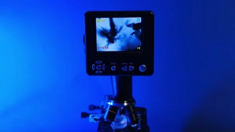 Close-up of a digital microscope with a display screen showing moving microorgan Stock Footage 295770970