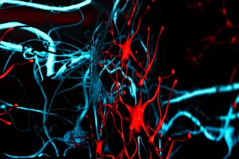 Close up of digital representation of neural connections on computer screen.  Stock Illustration