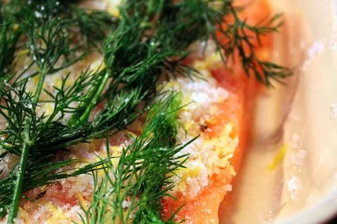 Close-up of dill on a gravlax portion Stock Photos