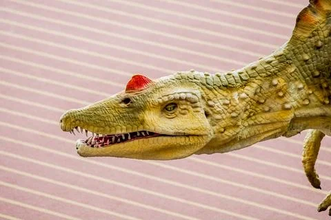 Close up of dinosaur head. Stock Photos