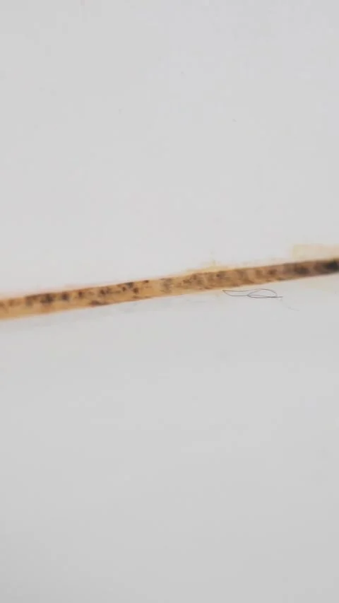 Close-up of a dirty bathroom tile corner with stained grout and black mold Stockbeeldmateriaal 325842798