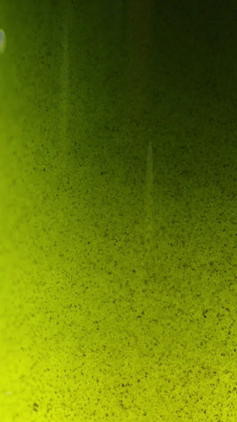 Close-up of dirty green fluid with dense dark sediment and particles Stock Footage 340636884