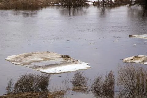 Close-up of dirty ice floes float on the river. Spring, snow melts Foto stock