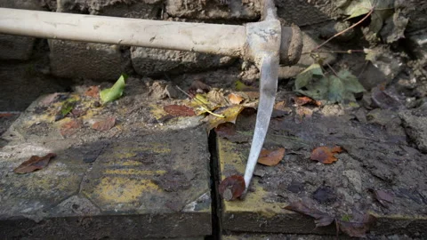 Close up of dirty mattock, tool for digging Stock Footage 158978632