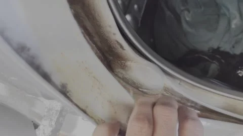 Close-up of Dirty Moldy Front Load Washing Machine Rubber Door Gasket Stock Footage 334851336