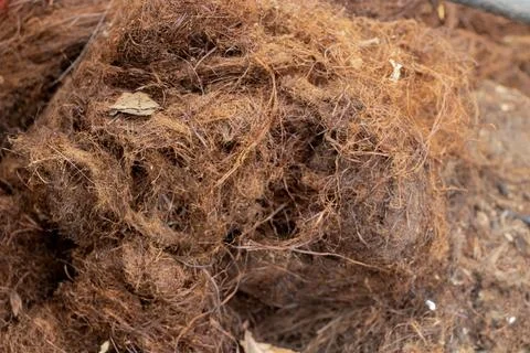 Close-up of dirty, old brown vegetable fiber for insulation, sealing cracks,  Stock Photos