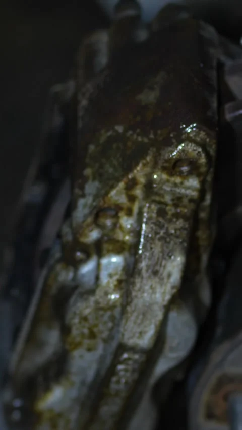 Close-up of a dirty rusty multi-piston car brake caliper assembly. Vídeo Stock 344362998