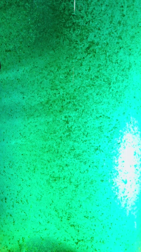 Close-up of a dirty turquoise-green liquid with dense suspended dark flakes Stock Footage 340637783