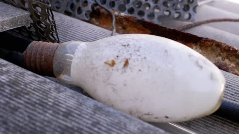 Close-up of Discarded Light Bulb Stock Footage 293206380