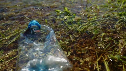 Close-up of discarded plastic bottle in wetland Stock Footage 345710002