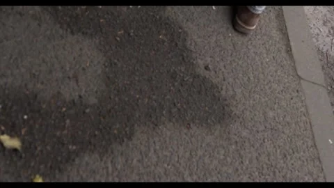 Close-up of a discarded white object and fallen leaves on a dark asphalt surface Stock Footage 326369091
