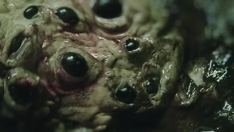 Close-up of disgusting crawling alien creature with many eyes. Sci-fi, science Stock Footage 249626736