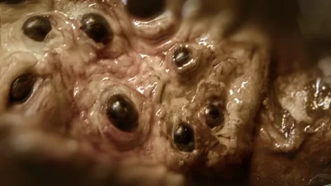 Close-up of disgusting crawling alien creature with many eyes. Sci-fi, science Stock Footage 249626748