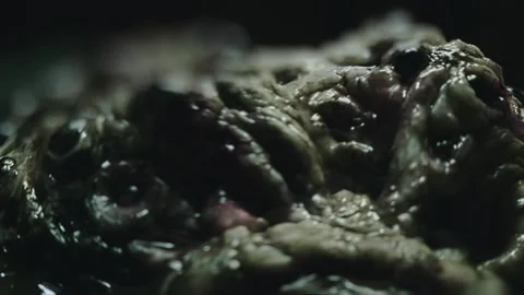 Close-up of disgusting crawling alien creature with many eyes. Sci-fi, science Stock Footage 249626783