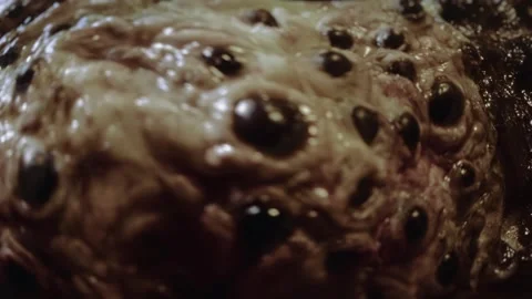 Close-up of disgusting crawling alien creature with many eyes. Sci-fi, science Stock Footage 249626830