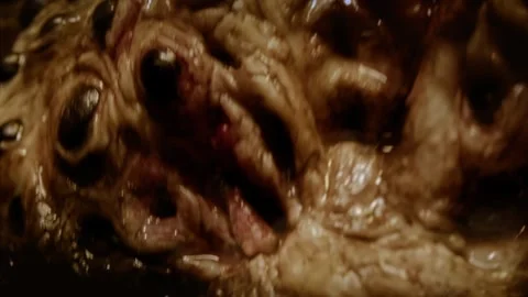 Close-up of disgusting crawling alien creature with many eyes. Sci-fi, science Stock Footage 249626982