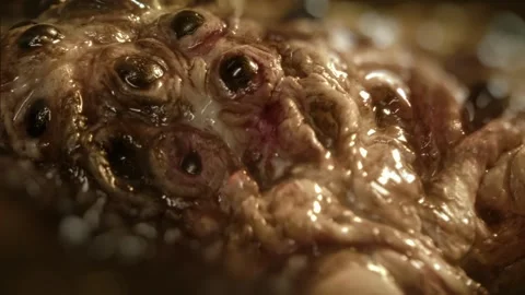 Close-up of disgusting crawling alien creature with many eyes. Sci-fi, science Stock Footage 249627003