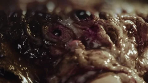 Close-up of disgusting crawling alien creature with many eyes. Sci-fi, science Stock Footage 249627020