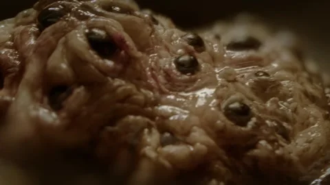 Close-up of disgusting crawling alien creature with many eyes. Sci-fi, science Stock Footage 249627070
