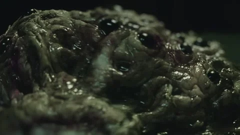 Close-up of disgusting crawling alien creature with many eyes. Sci-fi, science Stock Footage 249627181