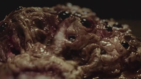 Close-up of disgusting crawling alien creature with many eyes. Sci-fi, science Stock Footage 249627197