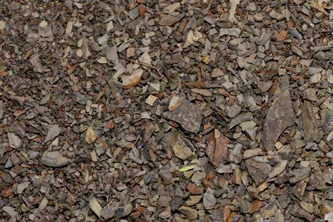 Close-up display of fragmented slate chips and fine rock shards Stock Photos