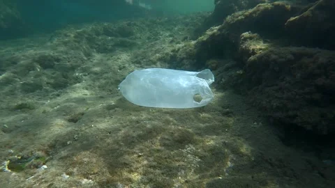 Close-up of disposable white plastic bag lies on stones seabed in sun glare Stock Footage 255112755