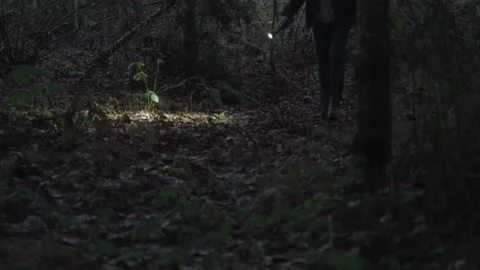 Close up of Disturbed Man Searching with Flashlight for Victim in Thick Woods Vidéo 208799434