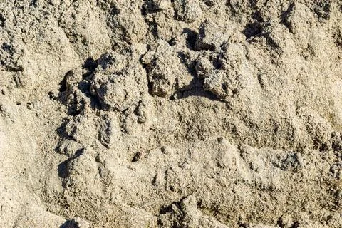 Close-up of disturbed sand surface showing tool marks and uneven texture from Foto stock