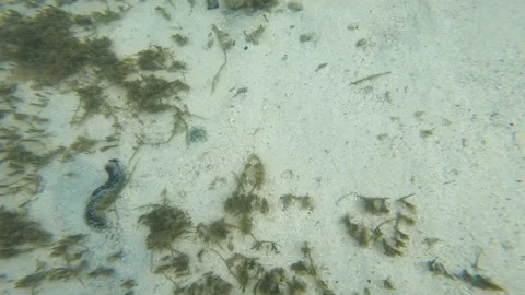 Close up diving down in the shallow lagoon look down to crystal clear water with Stock Footage 252178481