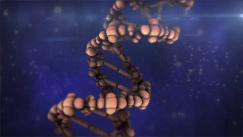 Close Up DNA Helix Spinning 3D Animation Vidéo 74468321