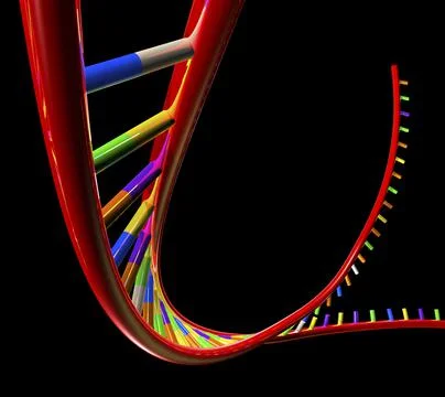 Close-up of a DNA structure Illustrazione stock