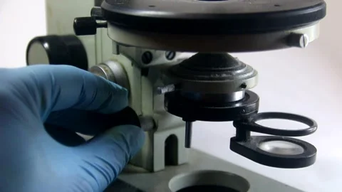 Close-up of a doctor's gloved hand adjusting an old microscope Stock Footage 317296836