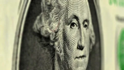 A close up of a dog Vídeo Stock 157756237