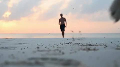 Close-up of a dog running along the sandy beach at sunrise. A happy pet runs Stock Footage 243857008