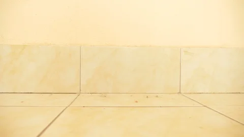 Close-up, dolly, 4k. close-up dirt, dust, hair on the floor near the plinth Stock Footage 88450537