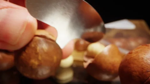Close Up Dolly Slider Shot of Macadamia Nuts with Special Metal Key Cracking Har 動画素材 324559660