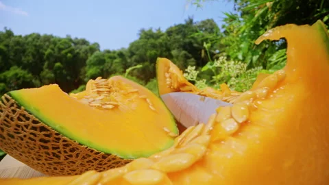 Close Up Dolly Slider Shot of Sliced Cantaloupe Melon Pieces with Seeds and Knif Stock Footage 331149903