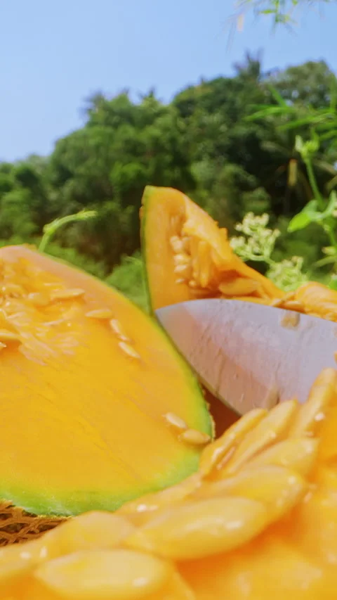 Close Up Dolly Slider Shot of Sliced Cantaloupe Melon Pieces with Seeds and Knif Stock Footage 331149949