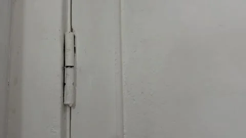Close up of door hinge on white interior door Stock Footage 335695030