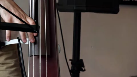 Close-up of the double bassist's hands playing the electric double bass Stock Footage 204991455
