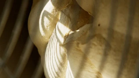 Close-up of dough being kneaded in a machine in a bakery. Stock Footage 313533114