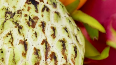 Close-Up of Dragon Fruit and Cherimoya Stock Footage 306343219