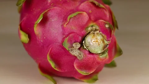 Close-Up of Dragon Fruit Stock Footage 310226065
