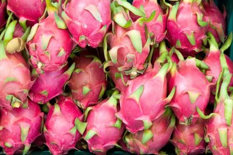 Close up dragon fruit Stock Photos
